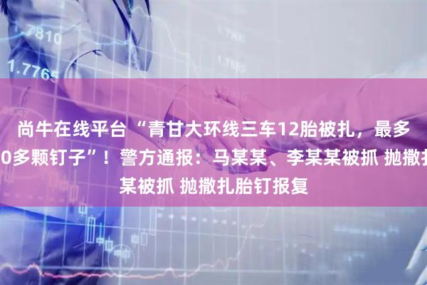 尚牛在线平台 “青甘大环线三车12胎被扎，最多一胎被扎30多颗钉子”！警方通报：马某某、李某某被抓 抛撒扎胎钉报复