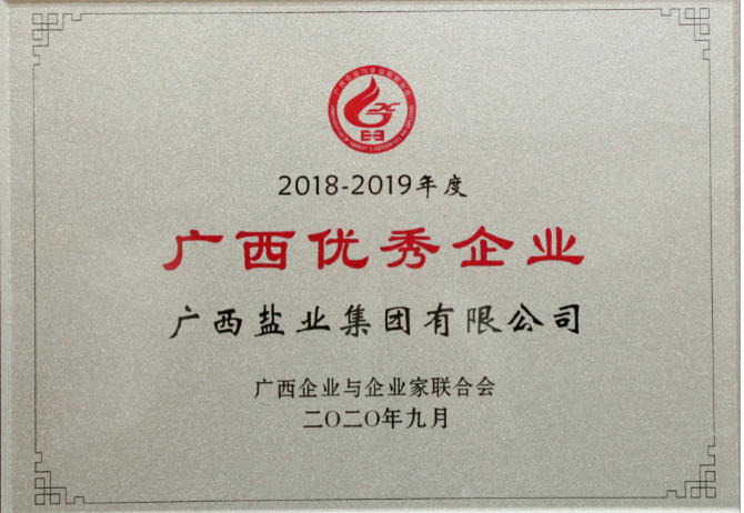 2018-2019年度广西优秀企业